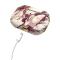 iDeal of Sweden Étui Airpods Pro - Calacatta Ruby Marble
